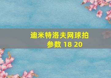 迪米特洛夫网球拍参数 18 20